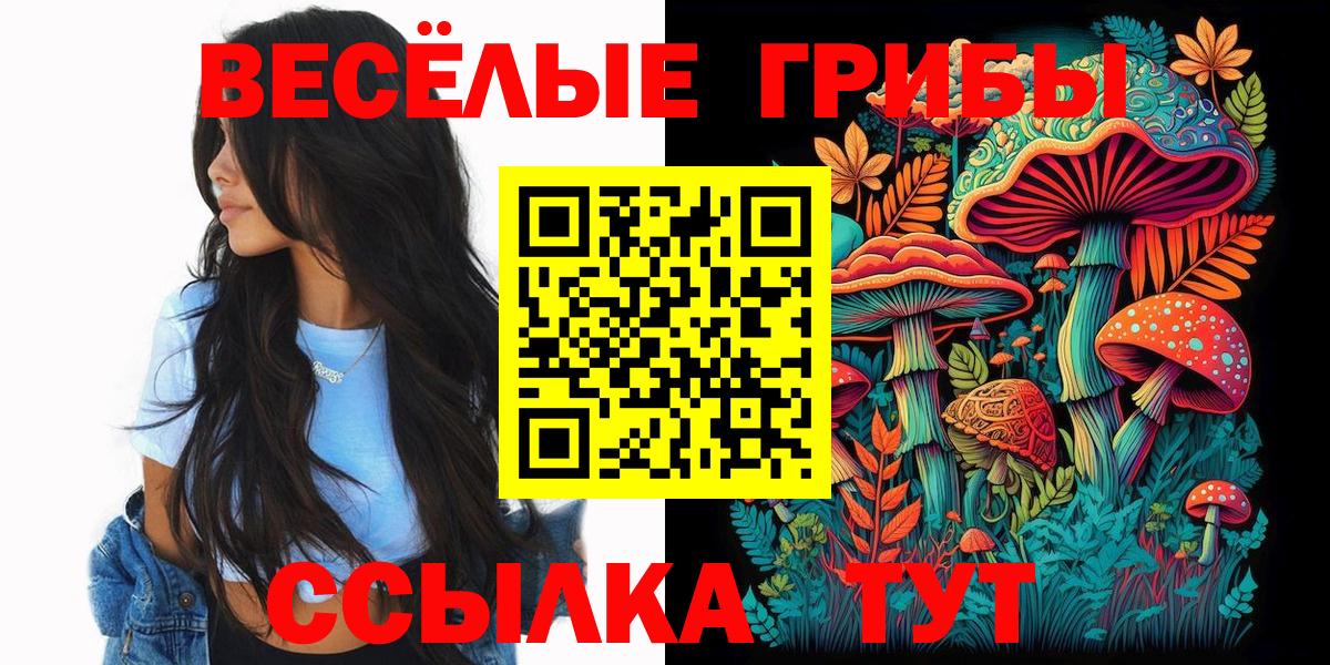 Галлюциногенные грибы ЛСД Кинешма